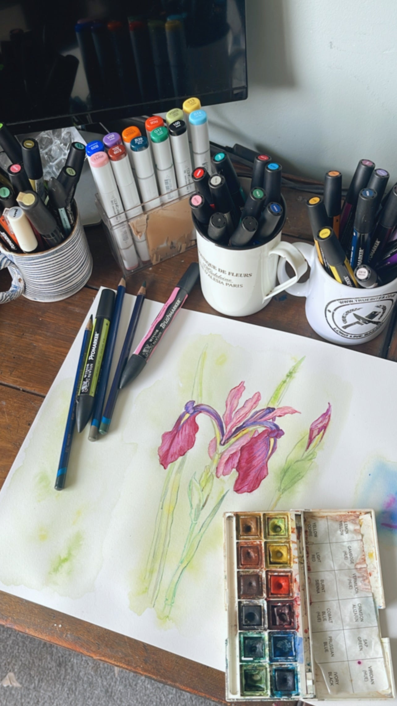 A photo from my art studio of a watercolour iris being painted with watercolour and illustrated with Winsor Newton pro marker pens 