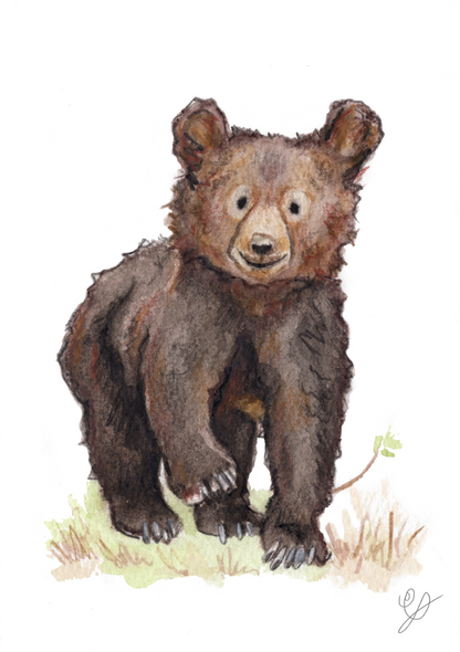 a watercolour painting of a cute bear cub