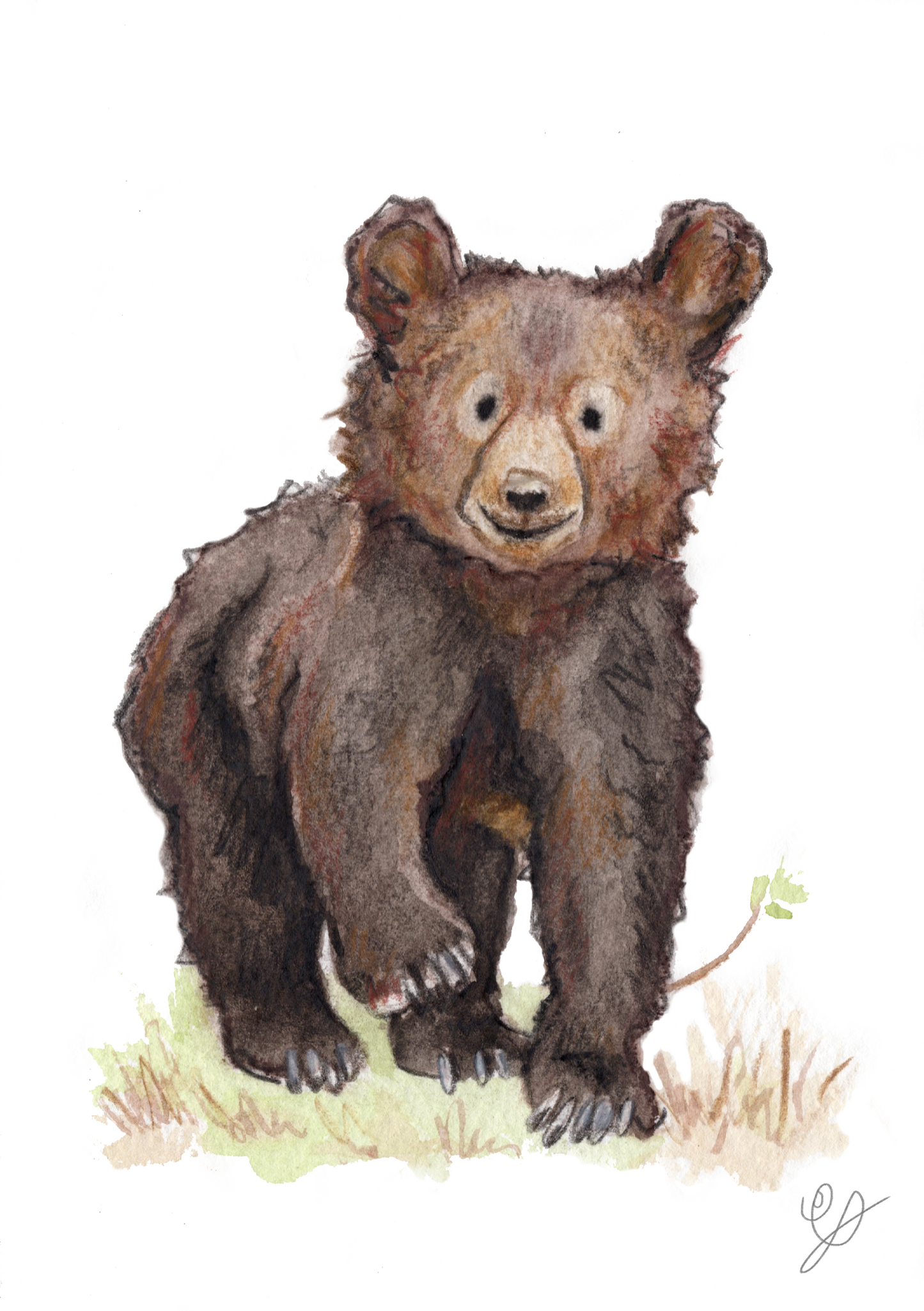 an archival print of a watercolour painting of a cute bear cub