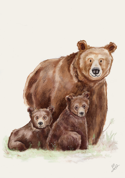 A watercolour illustration of a mother bear and her two cubs