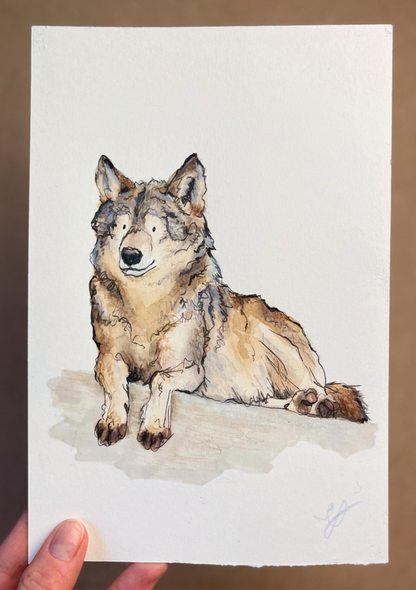 Wolf Illustration | Original Watercolour